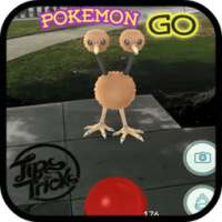 Guide for Pokemon GO