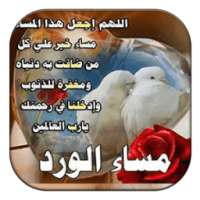 صور ورسائل صباح ومساء الخير on 9Apps