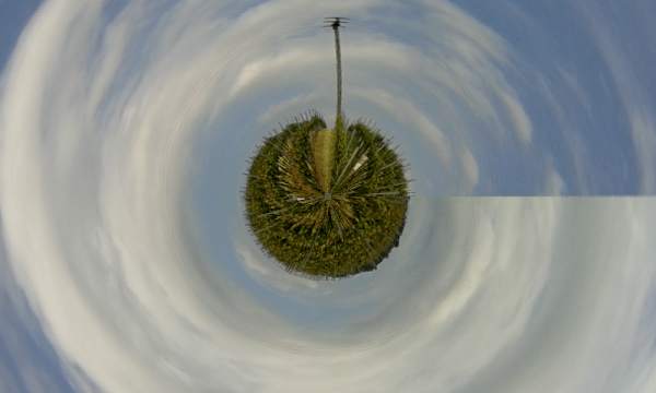 Tiny world and toon camera screenshot 10