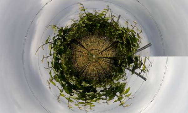 Tiny world and toon camera screenshot 5