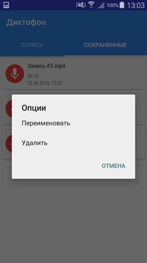 Деловой диктофон screenshot 1