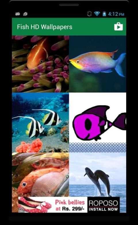Fish HD Wallpaper स्क्रीनशॉट 2