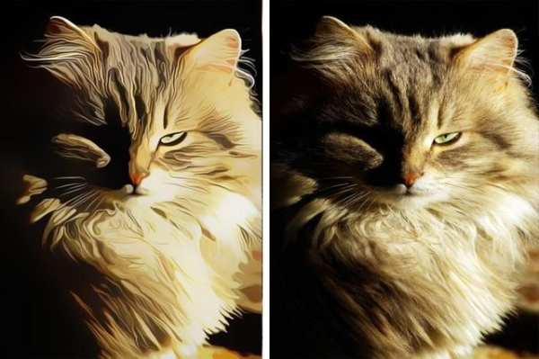 Sketch Photo to Cartoon free скриншот 3