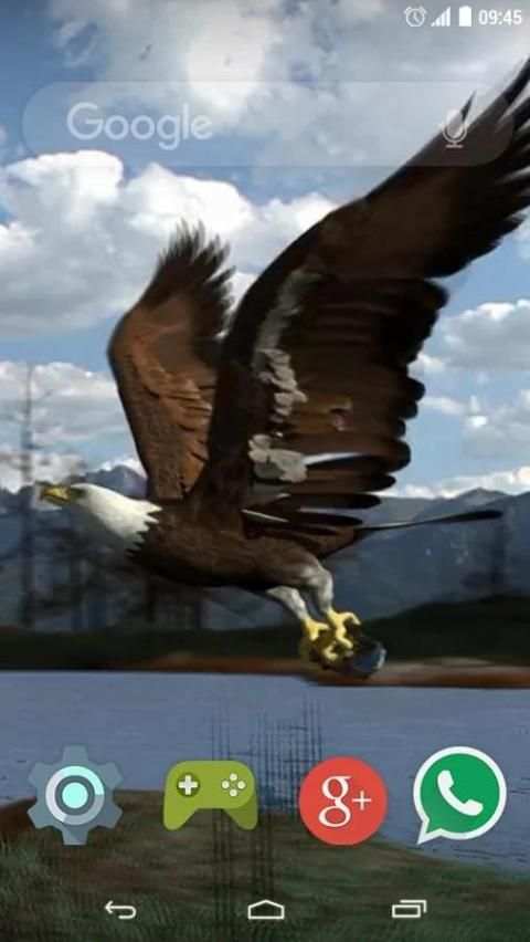 Flying Eagle Live Wallpaper screenshot 3