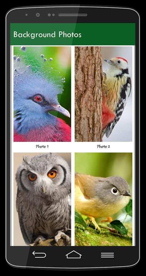 Birds Photo Lock Screen screenshot 4