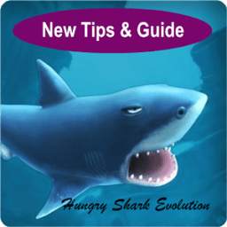 Guide Hungry Shark Evolution .