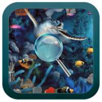 هانت قاع البحر