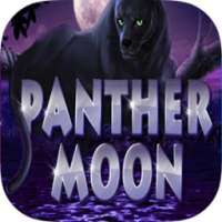 Panther Moon