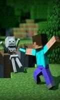 Wallpapers for Minecraft screenshot 5