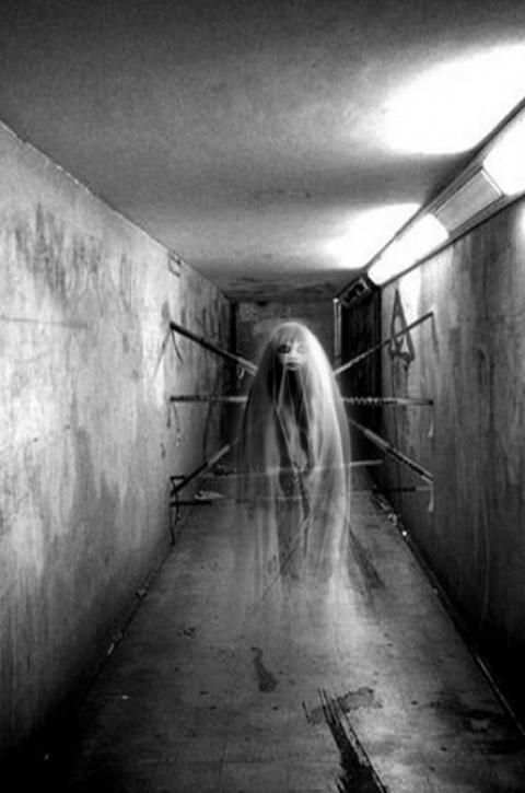 Camera Ghost Simulation 3 تصوير الشاشة