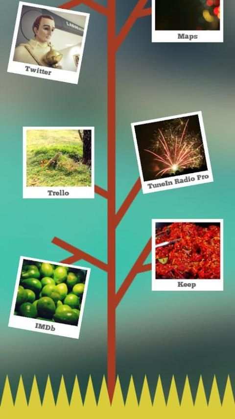 Pictree for Total Launcher स्क्रीनशॉट 4