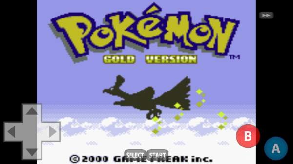 Pokemon Gold screenshot 2
