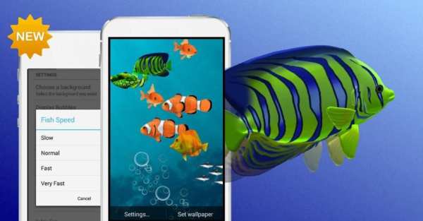 FISH LIVE WALLPAPER 2016 स्क्रीनशॉट 4