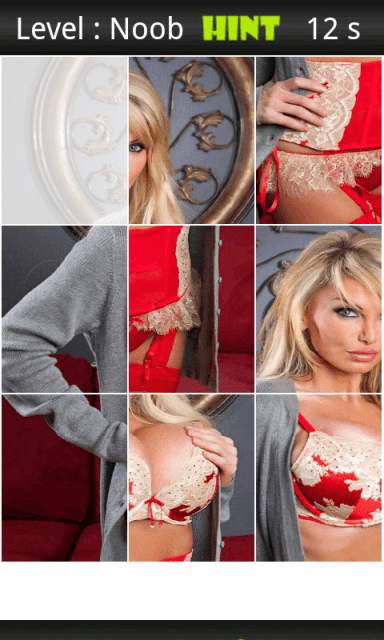 Taylor Wane Porn XXX Puzzle screenshot 1
