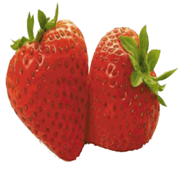 Sex Toy Sales Official App icon