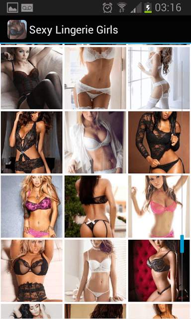 Sexy Lingerie Girls screenshot 1