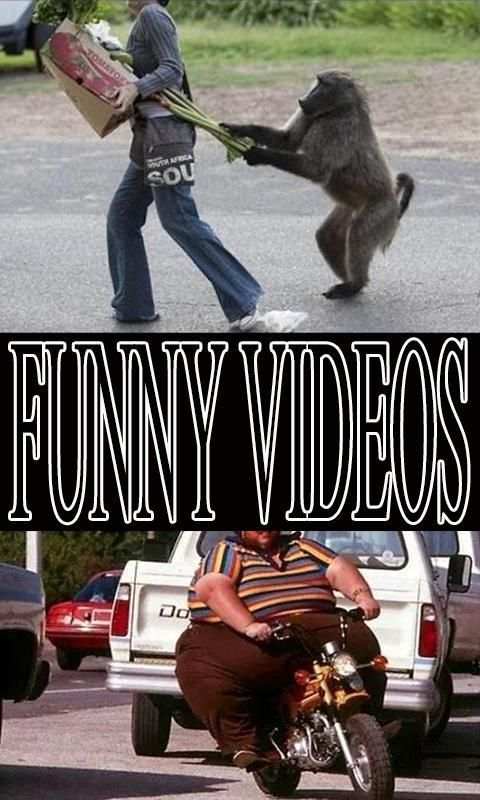 Funny Videos 4 تصوير الشاشة