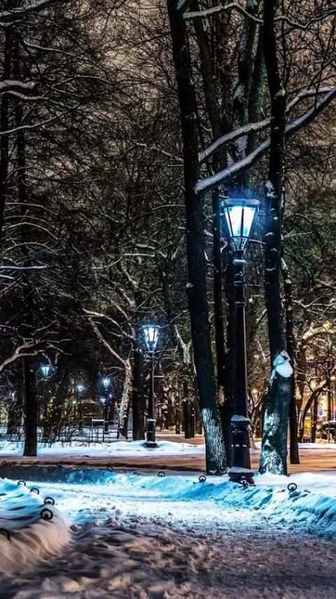 Park Live Wallpaper screenshot 6