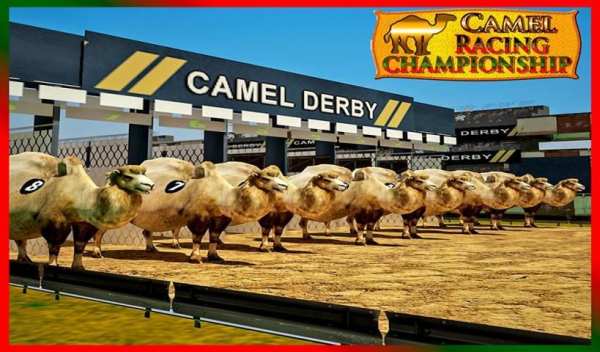 Camel Racing Championship screenshot 3