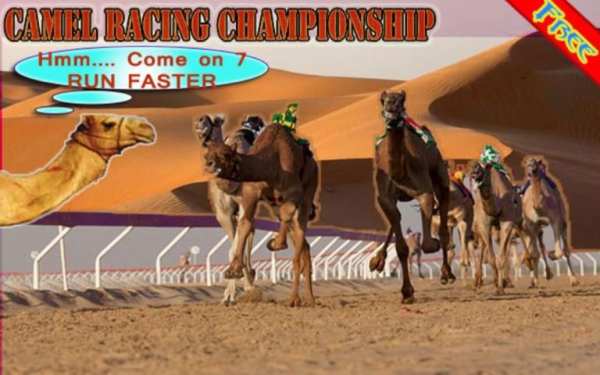 Camel Racing Championship screenshot 5