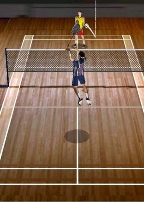 Play Badminton Free 3D screenshot 1