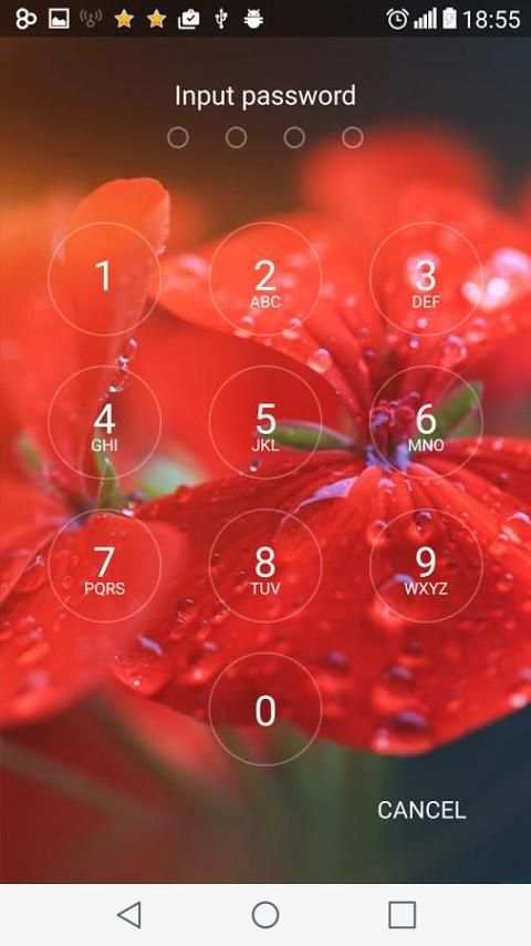 Security Lockscreen Password screenshot 1