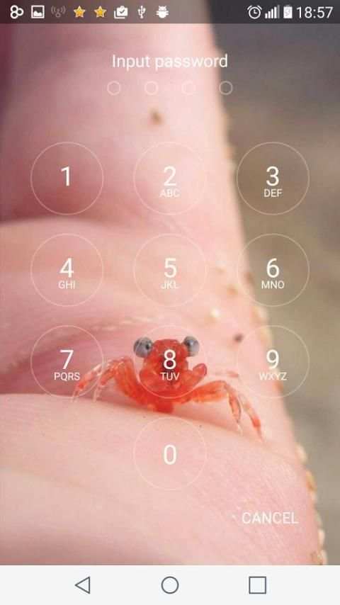 Security Lockscreen Password screenshot 3