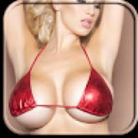 Big Boobs - Hot n Sexy