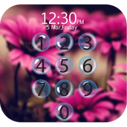 PIP Lock Screen icon