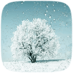Sonwing Tree Live wallpaper आइकन