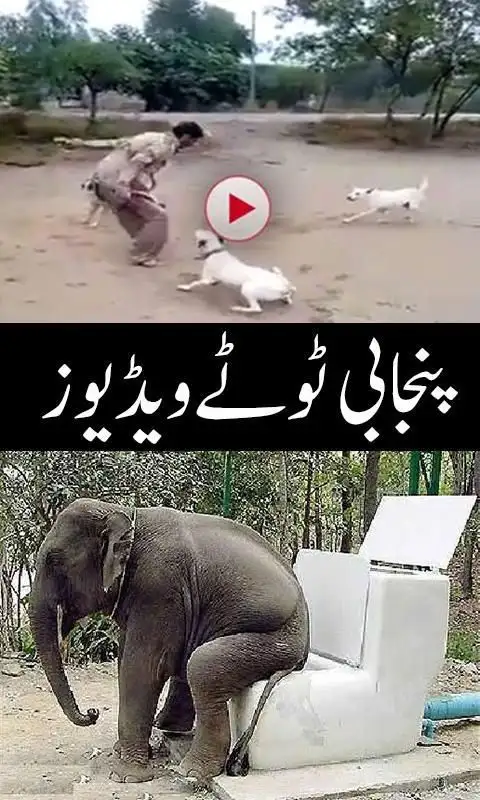 Punjabi Totay APK Download 2023 - Free - 9Apps Punjabi Totay APK Download 2023 - Free - 9Apps