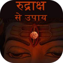 Rudraksha Guide In Hindi