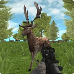 Hunter: Animals In The Forest