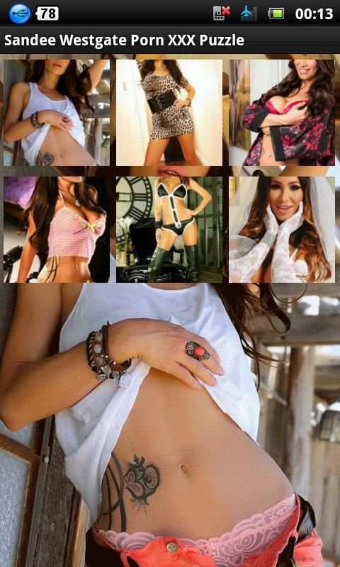 Sandee Westgate Porn Puzzle screenshot 2