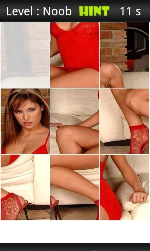 Regina Ice Porn XXX Puzzle screenshot 2