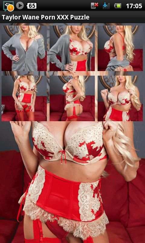 Taylor Wane Porn XXX Puzzle screenshot 1