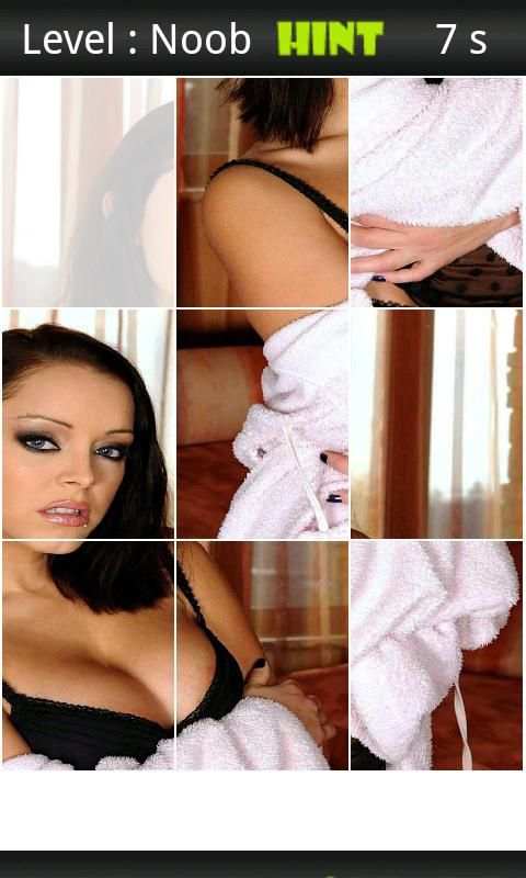 Liza Del Sierra Porn Puzzle screenshot 2