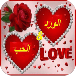 الورد والحب أيقونة