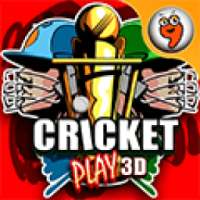 Cricket play 3D