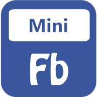 Facebook mini