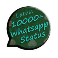 Latest Whatsapp Status