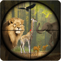 Jungle Hunting:Lion Chase icon