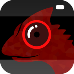 Lizard Spy Camera أيقونة