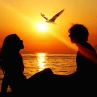 Tigi Chat : Public Chat&Social