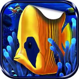 Aquarium Photo Editor 1.0