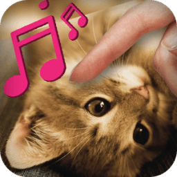 Pat The Relax Cat Simulator أيقونة