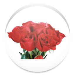 اجمل واروع الورود أيقونة