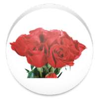 اجمل واروع الورود