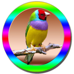 Bird Training Videos icon