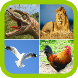 Animal Sound أيقونة